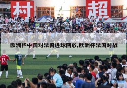 欧洲杯中国对法国进球回放,欧洲杯法国对战