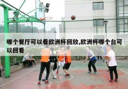 哪个餐厅可以看欧洲杯回放,欧洲杯哪个台可以回看