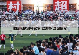 法国队欧洲杯冠军,欧洲杯 法国冠军