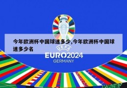 今年欧洲杯中国球迷多少,今年欧洲杯中国球迷多少名