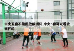 中央五套不能回放欧洲杯,中央5套可以看欧洲杯吗