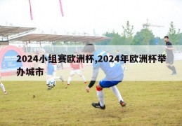 2024小组赛欧洲杯,2024年欧洲杯举办城市