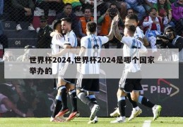 世界杯2024,世界杯2024是哪个国家举办的