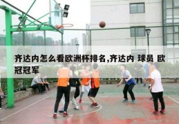 齐达内怎么看欧洲杯排名,齐达内 球员 欧冠冠军