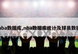 nba数据库,nba数据库统计及球员数据