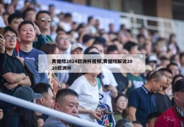 黄健翔2024欧洲杯视频,黄健翔解说2020欧洲杯