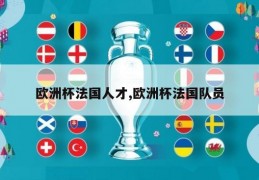 欧洲杯法国人才,欧洲杯法国队员