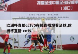 欧洲杯直播cctv5在线直播观看足球,欧洲杯直播 cntv