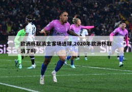 欧洲杯取消主客场进球,2020年欧洲杯取消了吗