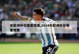 年欧洲杯在哪里观看,2024年欧洲杯在哪里观看