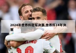 2024年世界杯冠军决赛,世界杯14年决赛