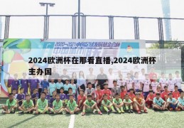 2024欧洲杯在那看直播,2024欧洲杯主办国