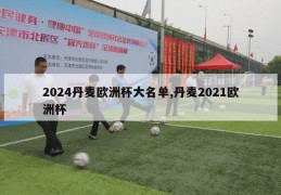 2024丹麦欧洲杯大名单,丹麦2021欧洲杯