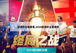 欧洲杯在哪里看,2024欧洲杯全部赛程