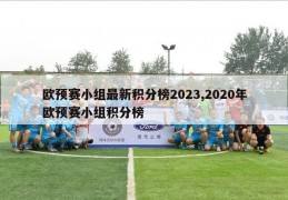 欧预赛小组最新积分榜2023,2020年欧预赛小组积分榜